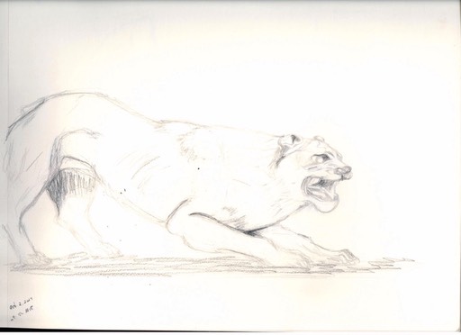 lion_med