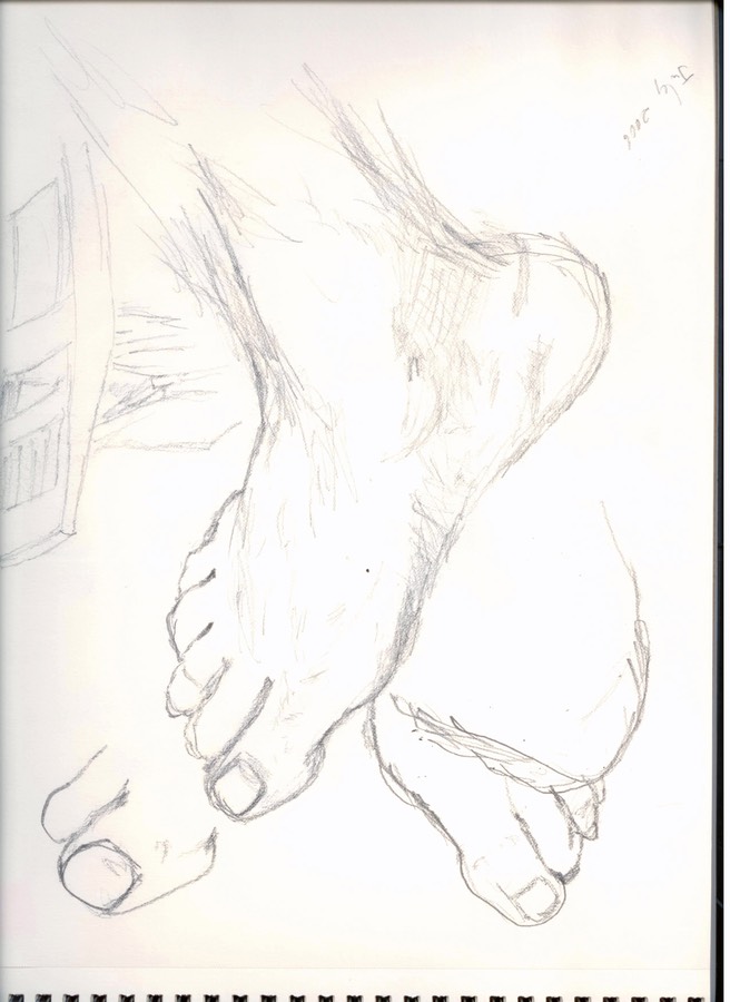 Toes